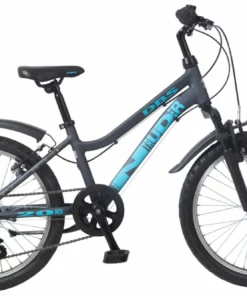 DBS Intruder C2 Barnesykkel 20'' 2022